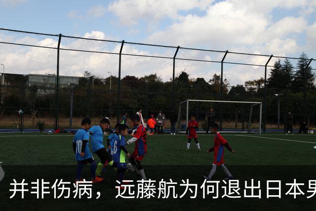 并非伤病，远藤航为何退出日本男足，原因曝光，队长位置被取代