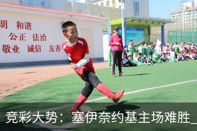 竞彩大势：塞伊奈约基主场难胜 桑纳菲赢球
