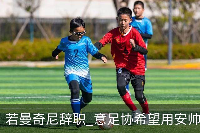 若曼奇尼辞职 意足协希望用安帅或卡纳瓦罗替代