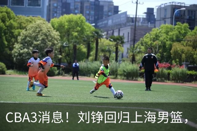 CBA3消息！刘铮回归上海男篮，杜锋心理学院博士，中国男篮VS立陶宛！